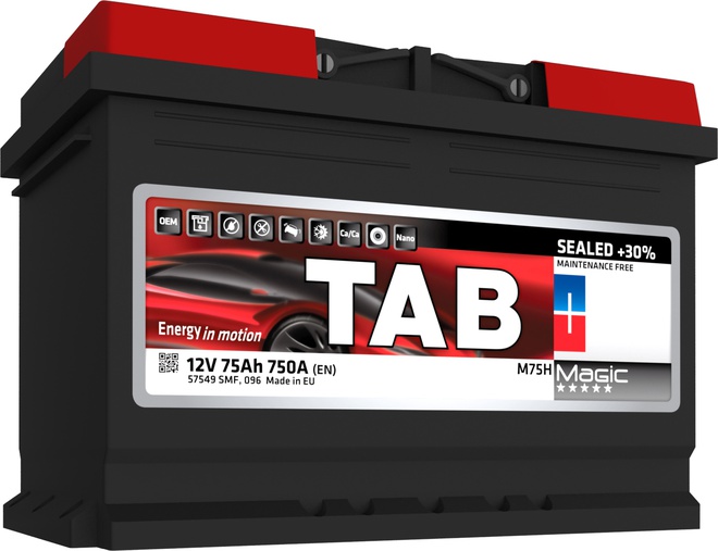 Аккумулятор автомобильный Tab Magic 66 R 